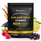 Organic Himalayan Shilajit Gold 60 Gummies 3000mg